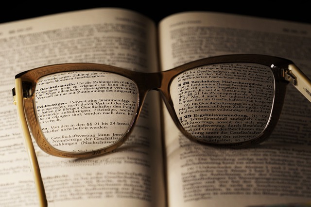 Diritto Societario: Principi Fondamentali e Normative Applicabili