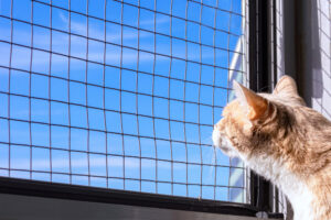 Zanzariera per Gatti: La Soluzione Ideale per Proteggere i Tuoi Amici Felini!